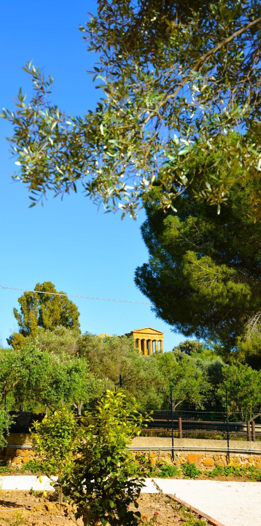 Il Giardino Del Tempio Bed & Breakfast อากริเจนโต ภายนอก รูปภาพ